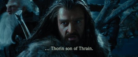 Thorin eichenschild
