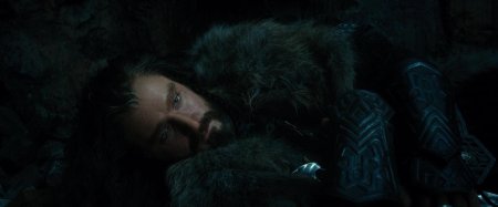 Торин дубощит король