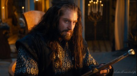 Торин дубощит хоббит