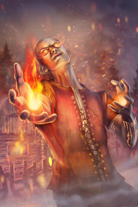 Ворожей ведьмак арт