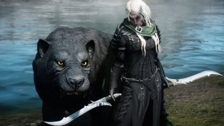 Темный эльф дзирт до'урден