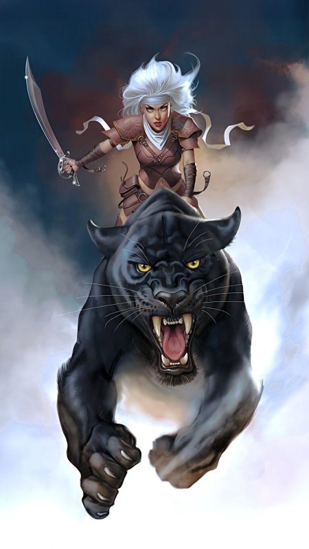 Человек верхом на пантере