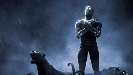 Марвел чёрная пантера