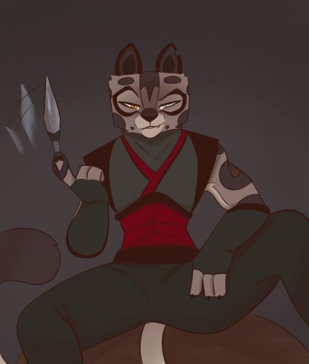 Кунг фу панда сестрички ву