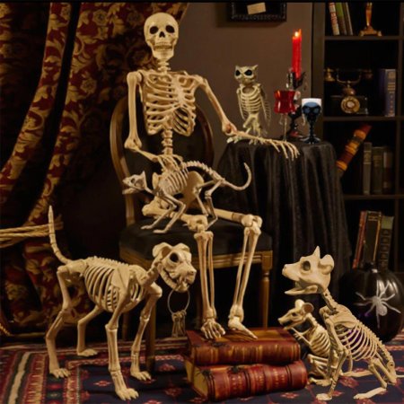 Скелет хэллоуин
