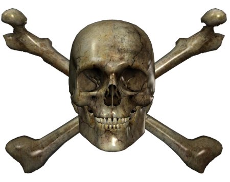 Кости череп