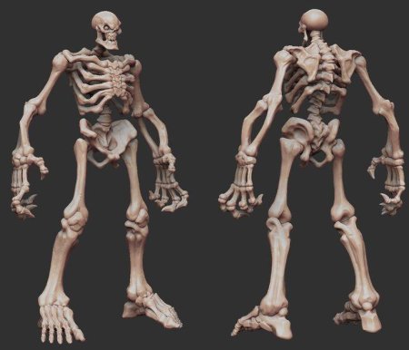 Скелет референс