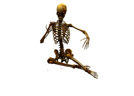 Человека скелет