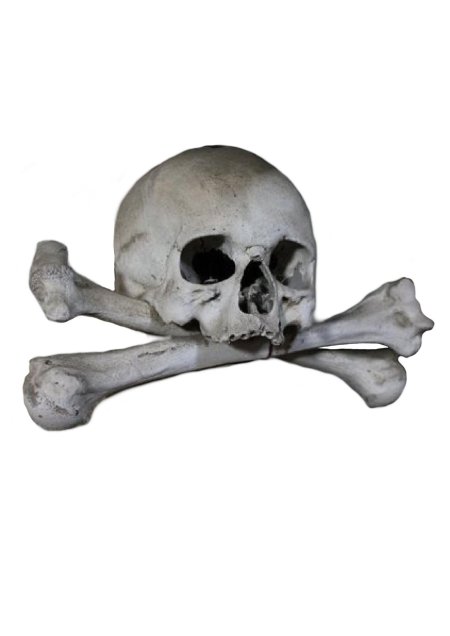 Кости и череп