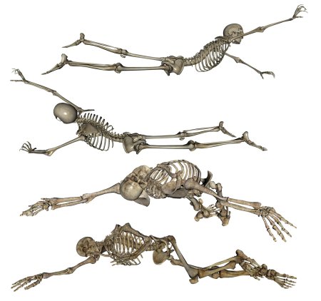 Лежащий скелет