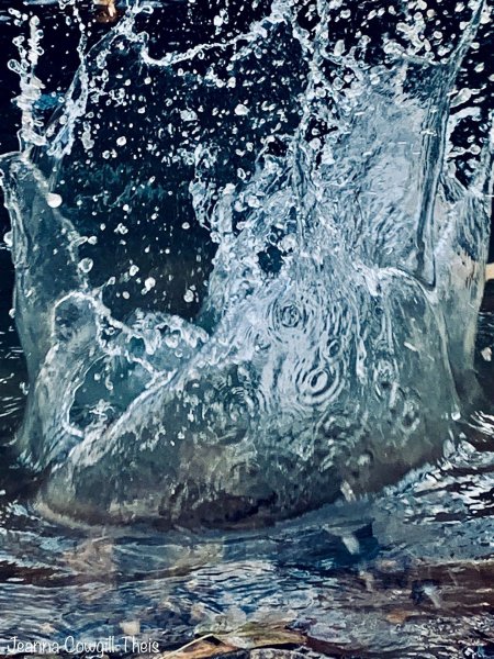 Water splash