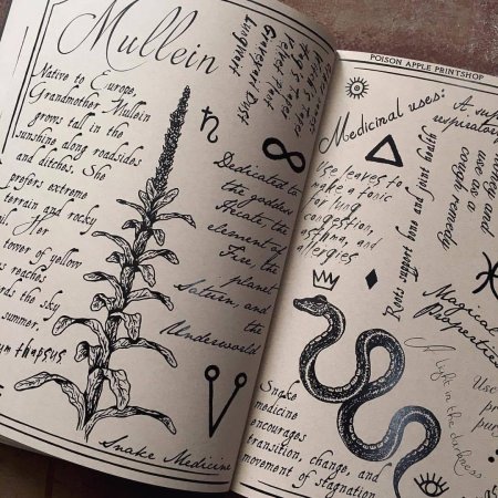 Гримуар книга теней