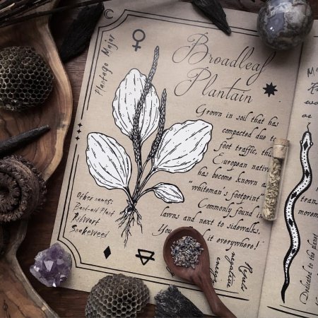 Гримуар ведьмы эстетика