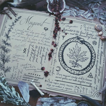 Гримуар дневник ведьмы