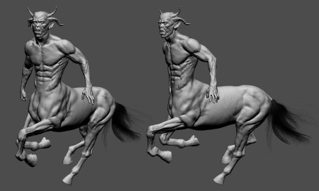 Анатомия кентавра