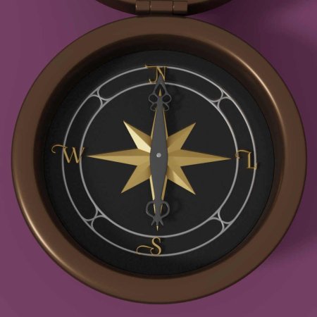 Компасс роза ветров