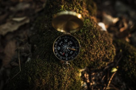 Компасы компас