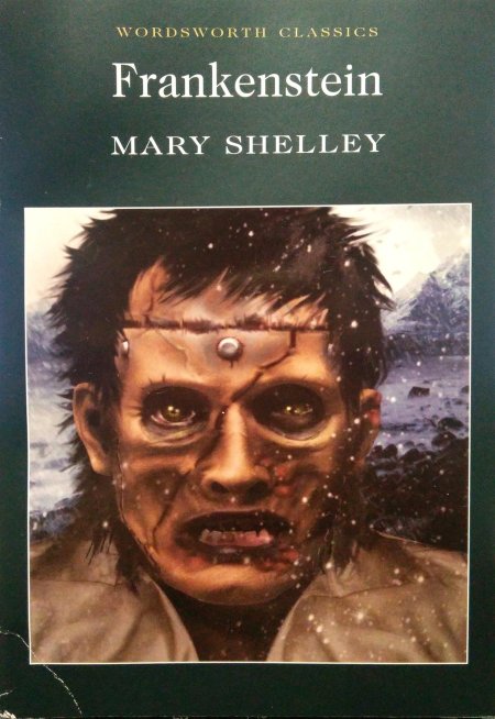 Frankenstein by mary shelley
