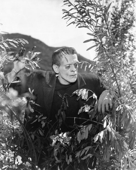 Франкенштейн фильм 1931