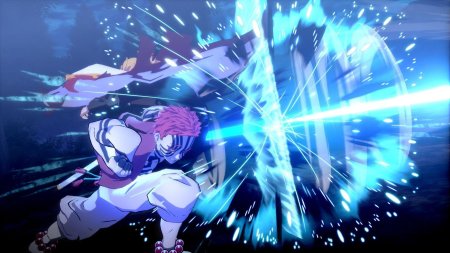 Demon slayer kimetsu no yaiba the hinokami chronicles