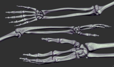 Рука скелета референс