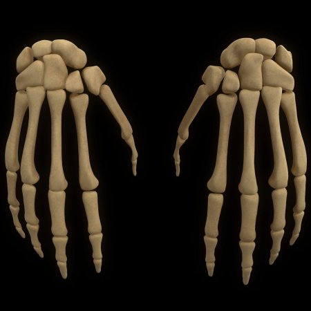 Рука скелет