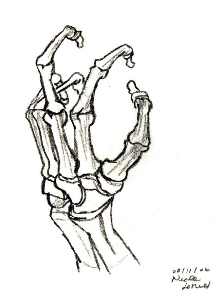 Скелет руки человека рисунок