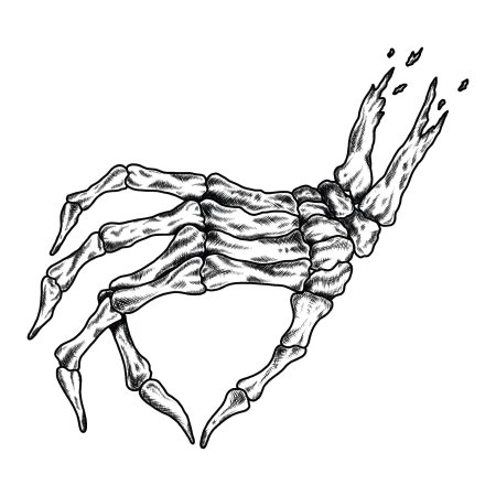 Рука скелет