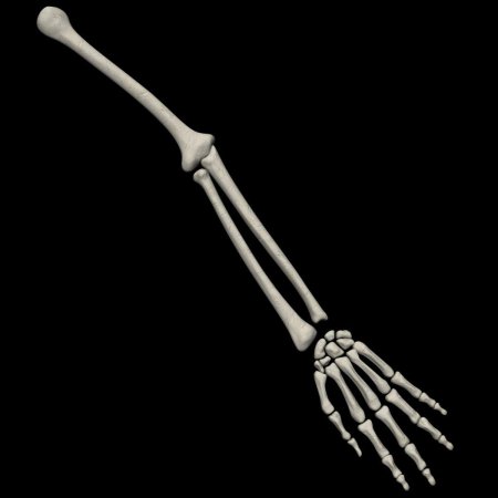 Рука скелет