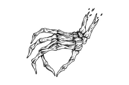 Рука скелет