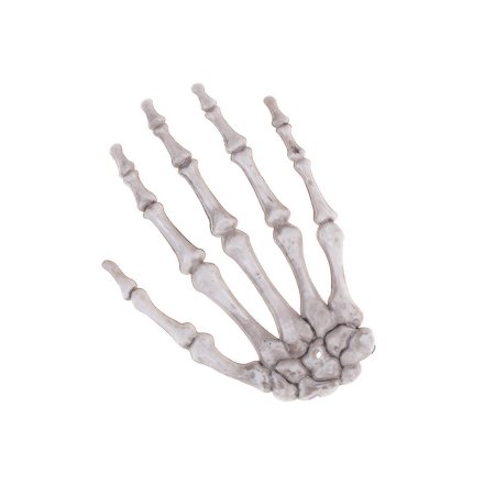 Рука скелет