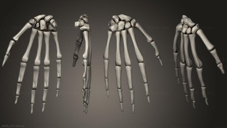 Рука скелет