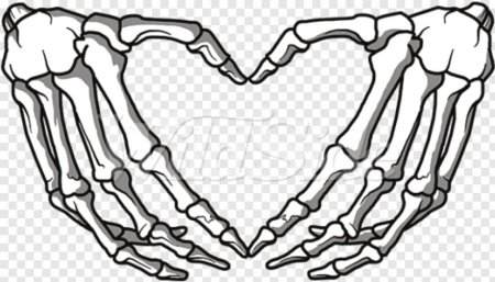 Рука скелет