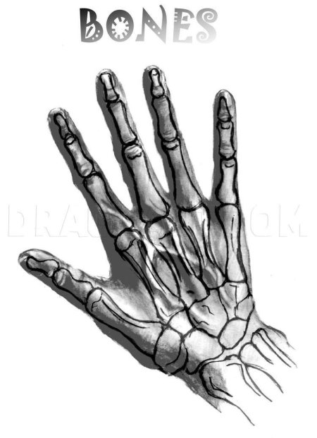 Наброски кистей рук