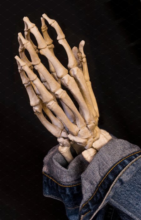 Рука скелет