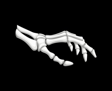 Рука скелет