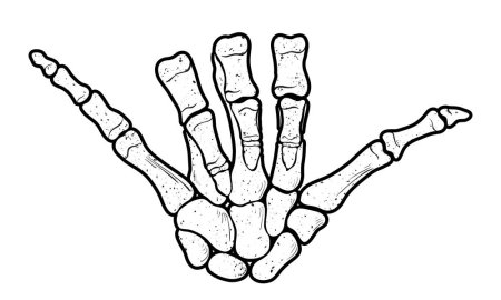 Рука скелет