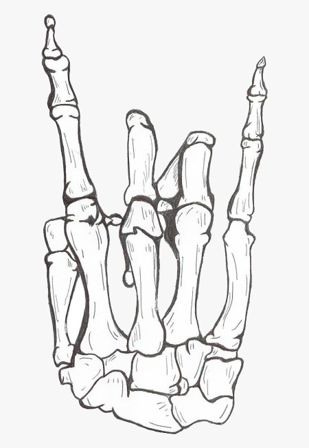 Рука скелет