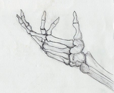 Кисть скелета для срисовки карандашом