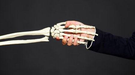 Рука скелет