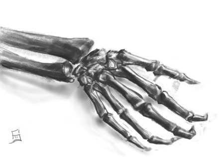 Рука скелет