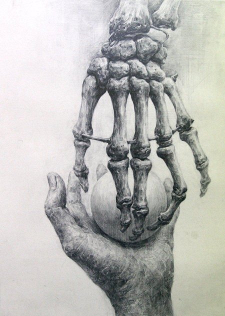 Рука скелет