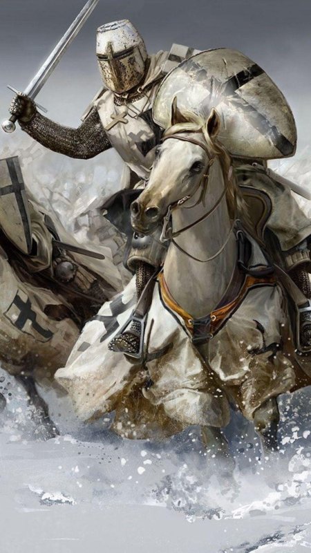 Рыцари крестоносцы тевтонские