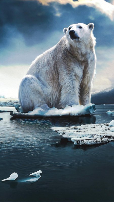 Белая медведь