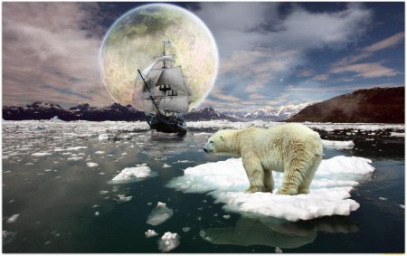 Белая медведь