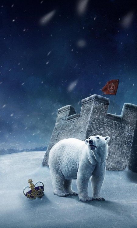 Белая медведь