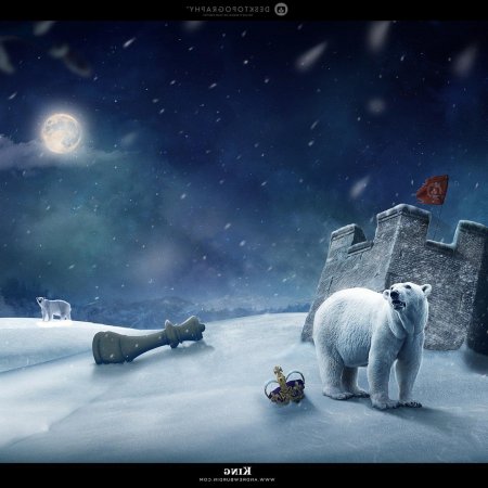 Белая медведь