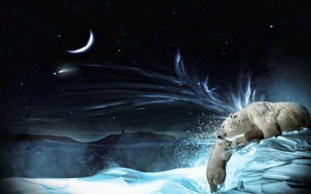 Полярные медведи