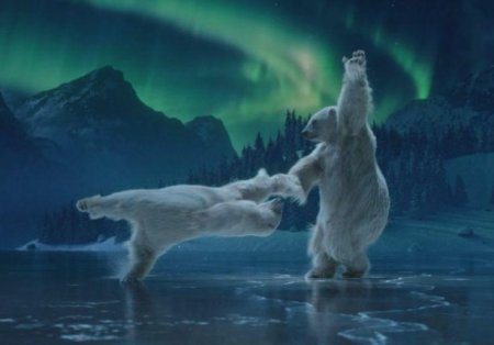 Лед медведи