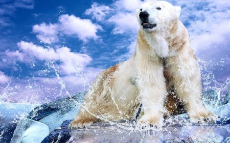 Белая медведь